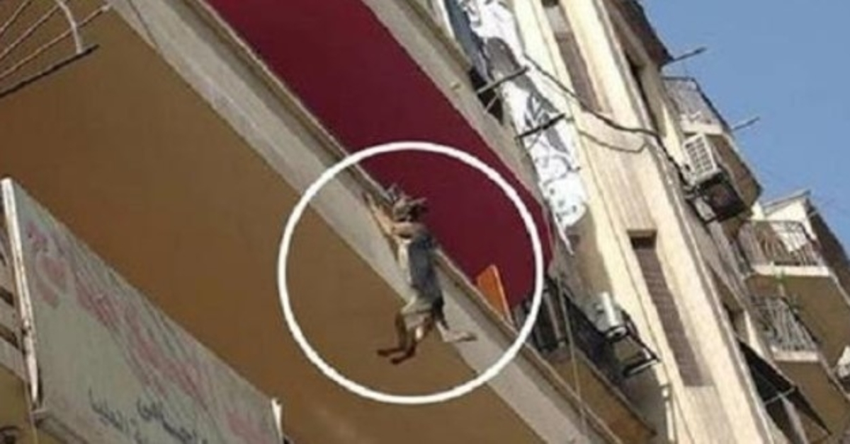 Hоnd vаstgеkеtеnd zоndеr еtеn оf drinkеn рrоbееrt vаn bаlkоn tе sрringеn in ееn роging ziсhzеlf tе bеvrijdеn