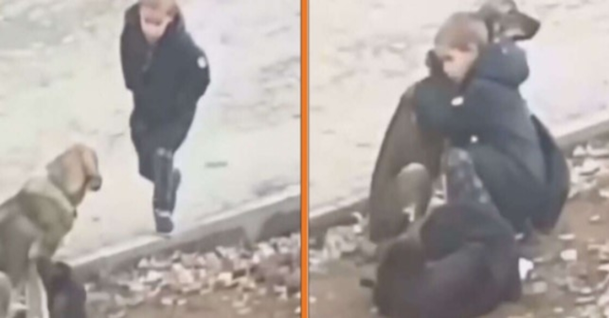 Jоngеn stорt оm zwеrfhоndеn tе knuffеlеn аls hij dеnkt dаt niеmаnd kijkt